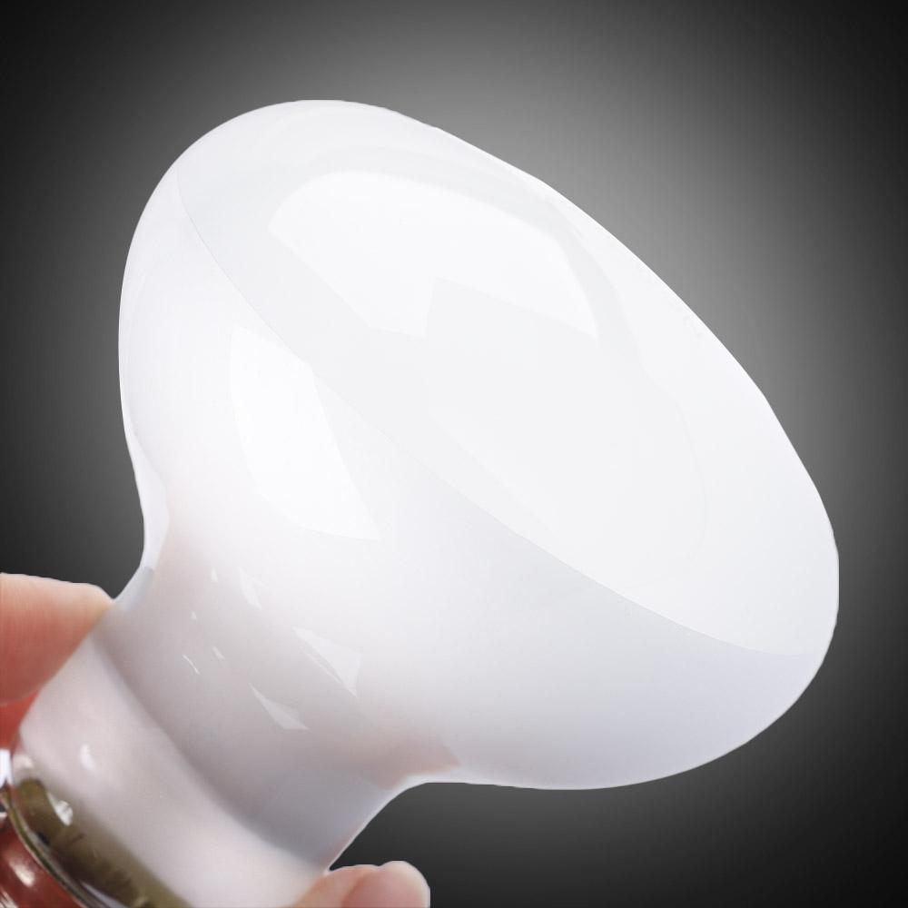 거북이 히터 온도 조절기 파충류 UVA 라이트 할로겐  - Basking Bulb Halogen 리뷰 및 가격