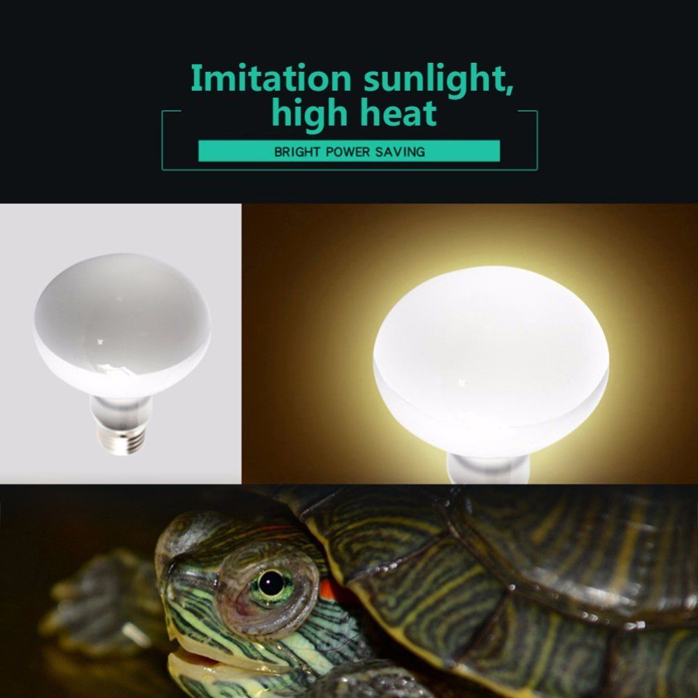 양서류 열등 온도 조절기 파충류 일광욕등 할로겐 전구  - Basking Bulb Halogen 리뷰 및 가격